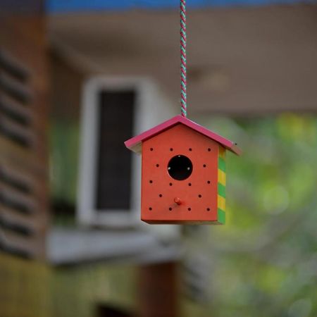 Cosy 1Br Homestay In Old Goa Exterior photo